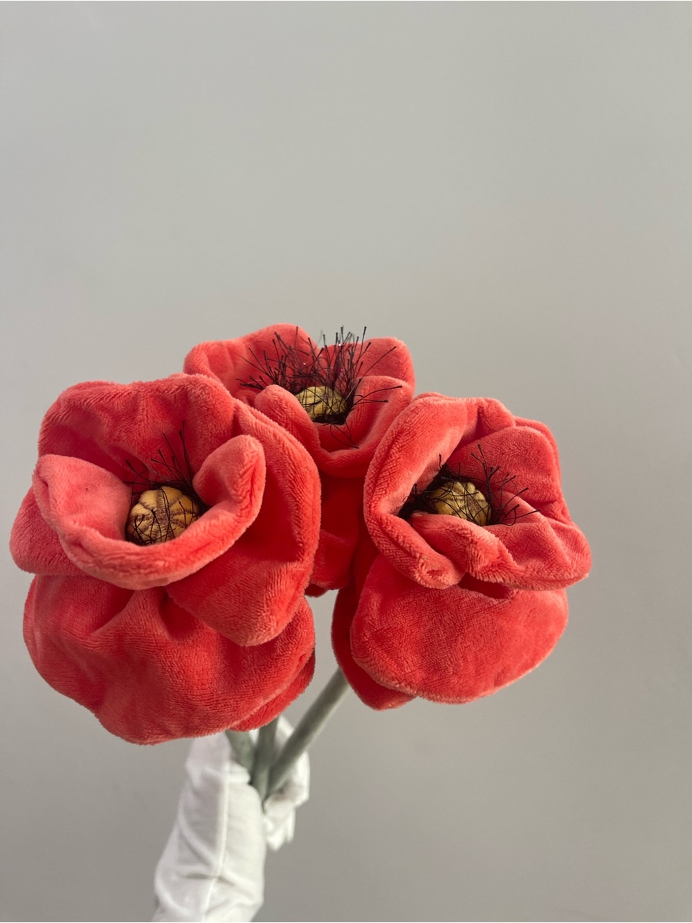 CJ Hendry 3 Poppy flowers